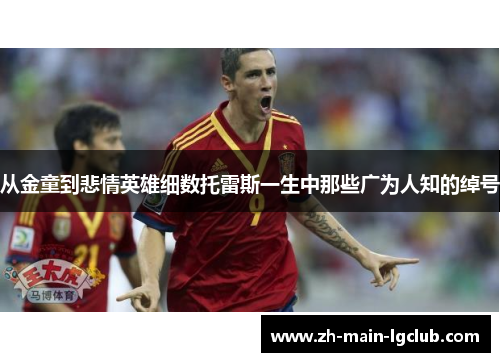 从金童到悲情英雄细数托雷斯一生中那些广为人知的绰号