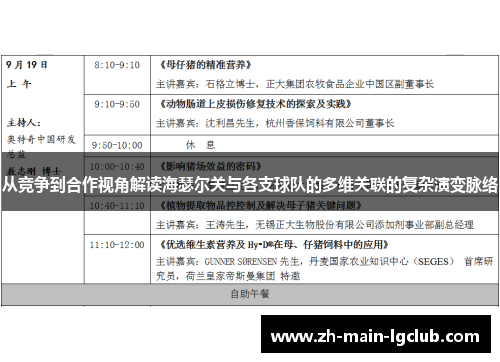 从竞争到合作视角解读海瑟尔关与各支球队的多维关联的复杂演变脉络 从竞争到合作视角解读海瑟尔关与各支球队的多维关联的复杂演变脉络
