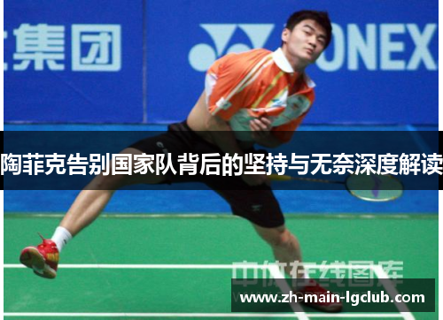 陶菲克告别国家队背后的坚持与无奈深度解读