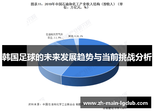 韩国足球的未来发展趋势与当前挑战分析