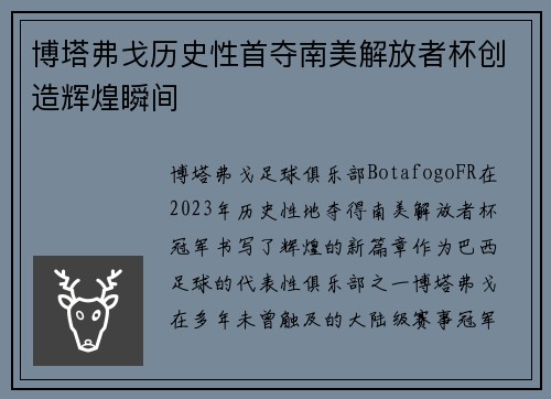 博塔弗戈历史性首夺南美解放者杯创造辉煌瞬间 博塔弗戈历史性首夺南美解放者杯创造辉煌瞬间