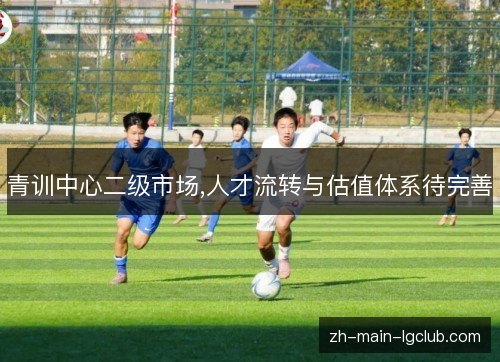 青训中心二级市场,人才流转与估值体系待完善 青训中心二级市场,人才流转与估值体系待完善